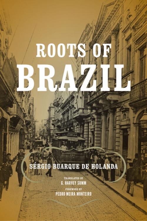 Cover of the book Roots of Brazil by Sérgio Buarque de Holanda, University of Notre Dame Press