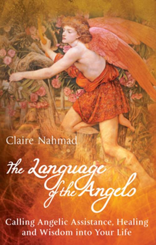 Cover of the book The Language of the Angels by Claire Nahmad, Profile