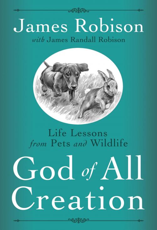 Cover of the book God of All Creation by James Robison, The Crown Publishing Group