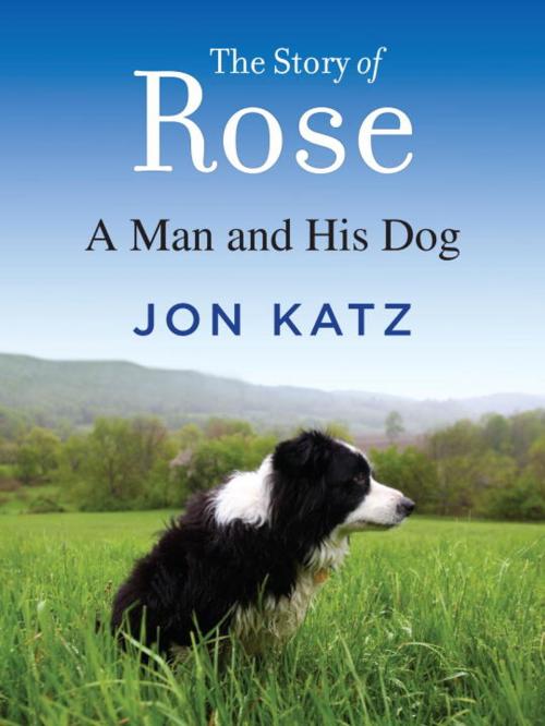 Cover of the book The Story of Rose by Jon Katz, Random House Publishing Group