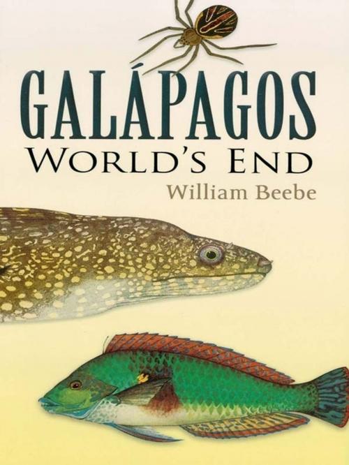 Cover of the book Galapagos by William Beebe, Dover Publications