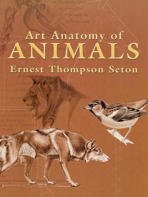 Cover of the book Art Anatomy of Animals by Ernest Thompson Seton, Dover Publications