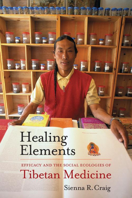 Cover of the book Healing Elements by Sienna R. Craig, University of California Press