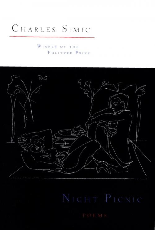 Cover of the book Night Picnic by Charles Simic, HMH Books