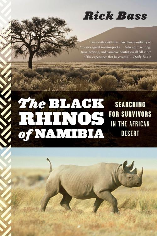 Cover of the book The Black Rhinos of Namibia by Rick Bass, HMH Books