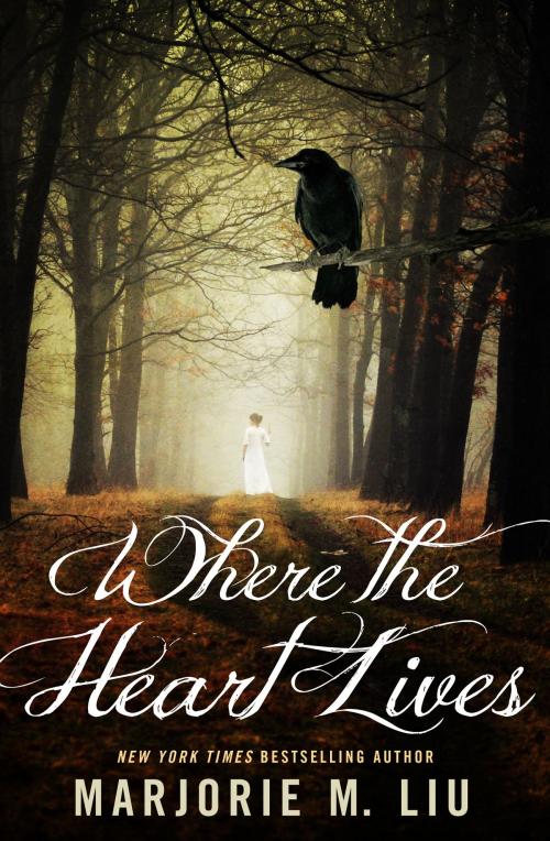 Cover of the book Where The Heart Lives by Marjorie Liu, Marjorie Liu