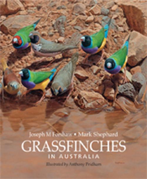 Cover of the book Grassfinches in Australia by Anthony Pridham, Joseph M Forshaw, Mark Shephard OAM, CSIRO PUBLISHING