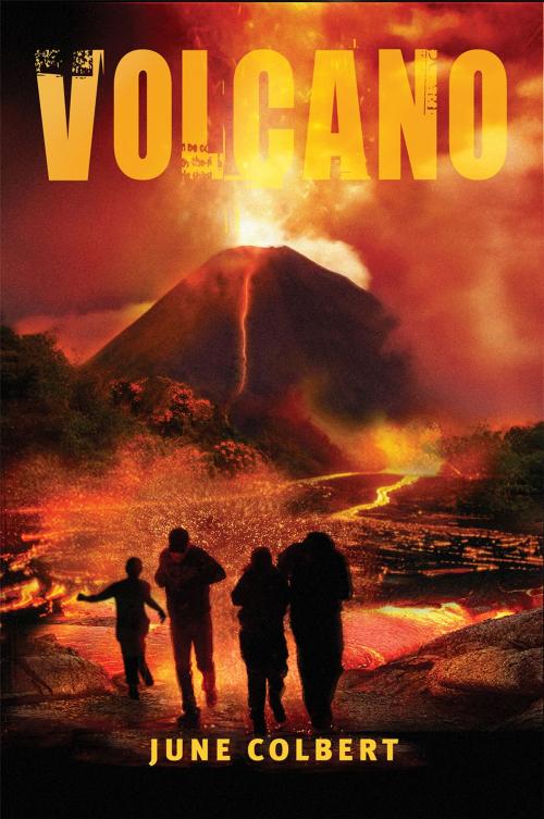 Cover of the book Volcano by June Colbert, Hachette Australia