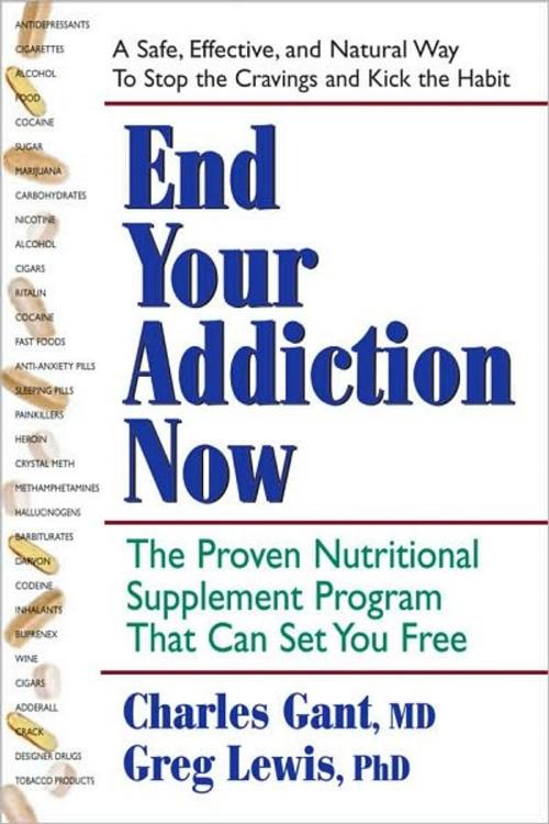 Cover of the book End Your Addiction Now by Charles Gant, Greg Lewis, Square One Publishers