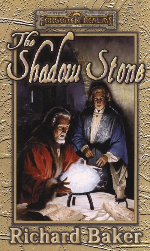 Cover of the book The Shadow Stone by Richard Baker, Wizards of the Coast Publishing
