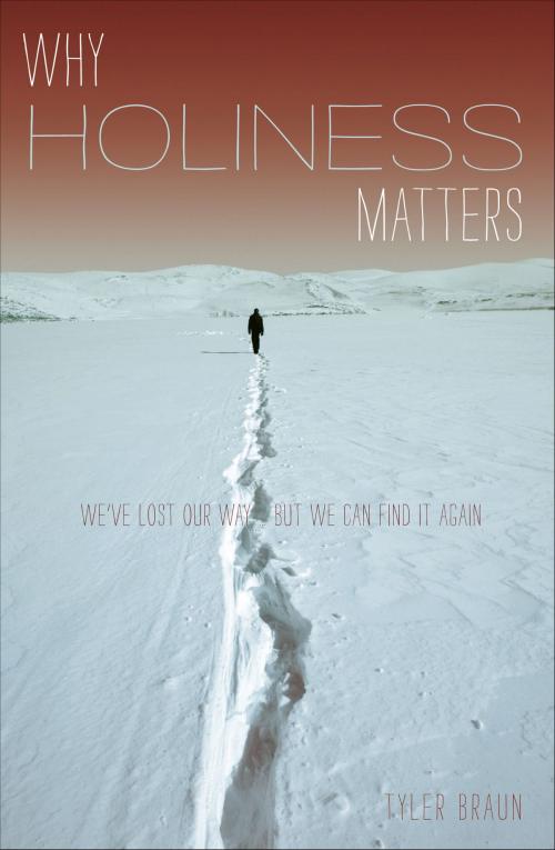 Cover of the book Why Holiness Matters by Tyler Braun, Moody Publishers