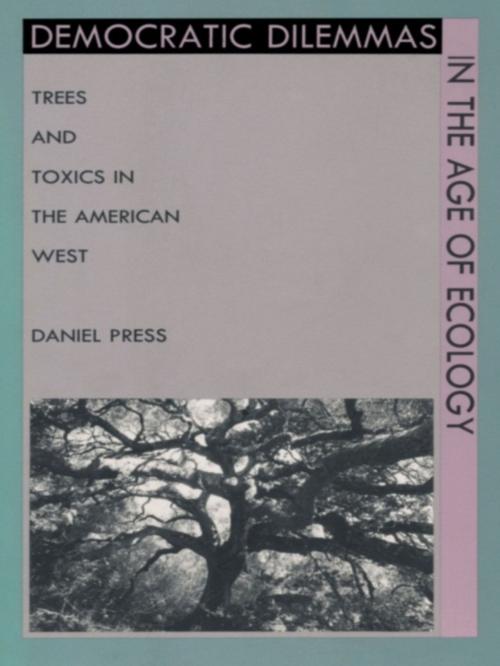 Cover of the book Democratic Dilemmas in the Age of Ecology by Daniel Press, Duke University Press