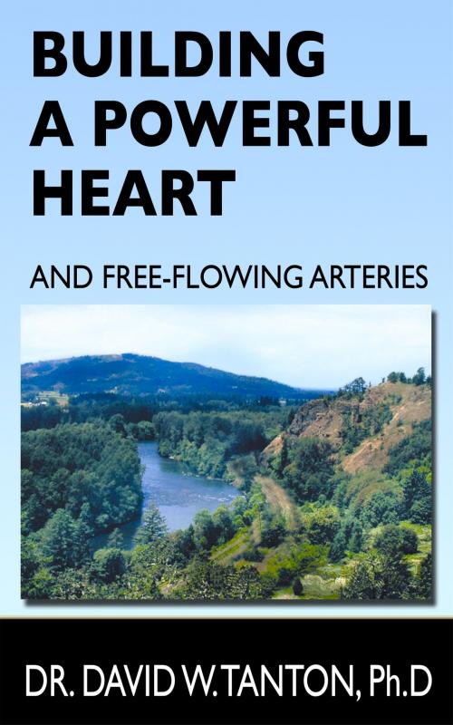 Cover of the book Building a Powerful Heart and Free-Flowing Arteries by Dr. David W. Tanton, Soaring Heights Publishing