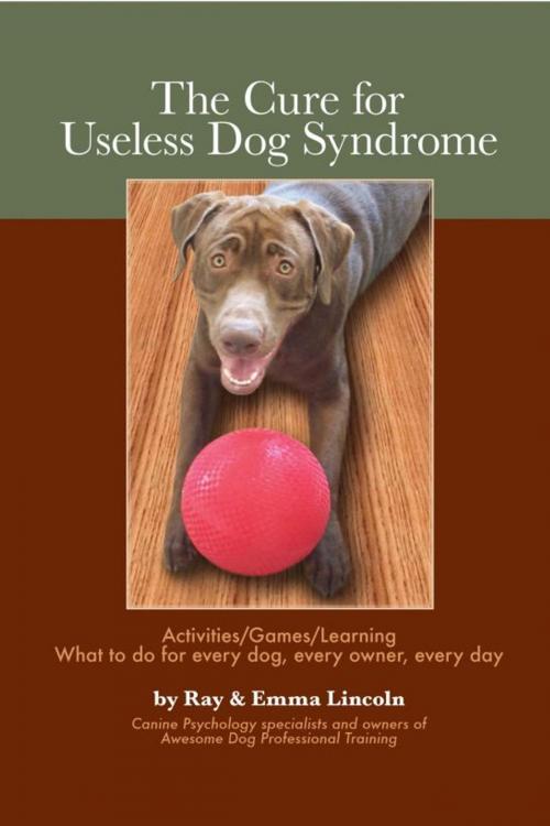 Cover of the book The Cure for Useless Dog Syndrome: Activities/Games/Learning, What to do for every dog, every owner,every day by Emma Lincoln, Emma Lincoln