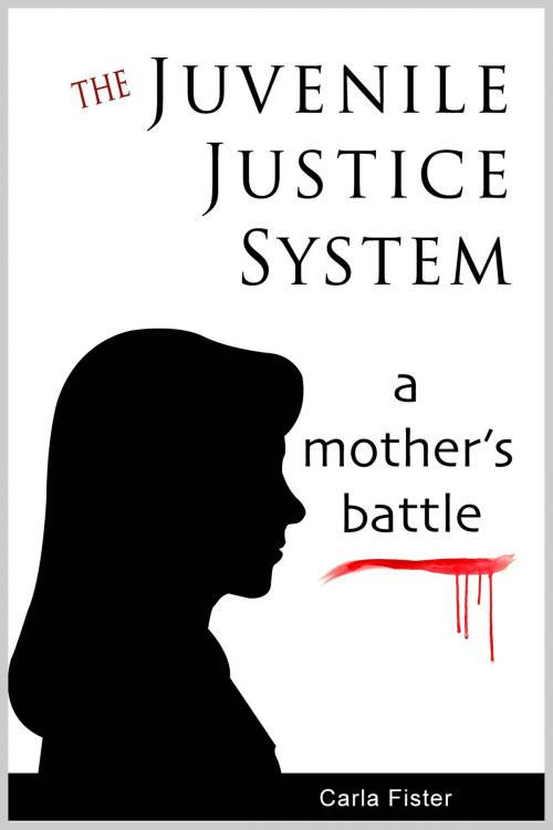 Cover of the book The Juvenile Justice System; A Mother's Battle by Carla Fister, Carla Fister