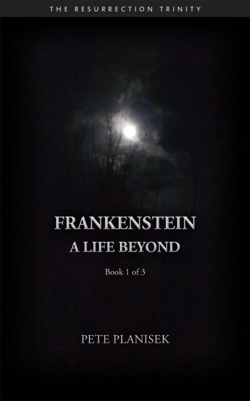 Cover of the book Frankenstein A Life Beyond by Pete Planisek, Enceladus Literary LLC
