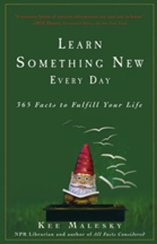 Cover of the book Learn Something New Every Day by Kee Malesky, Turner Publishing Co.