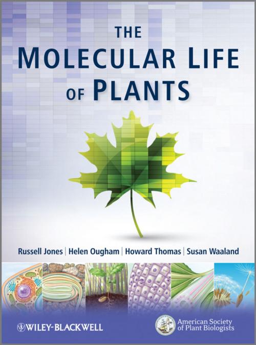 Cover of the book The Molecular Life of Plants by Helen Ougham, Howard Thomas, Susan Waaland, Russell L. Jones, Wiley