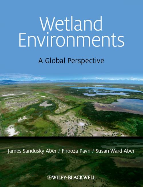 Cover of the book Wetland Environments by James S. Aber, Firooza Pavri, Susan Aber, Wiley