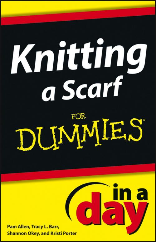 Cover of the book Knitting a Scarf In A Day For Dummies by Allen, Shannon Okey, Wiley