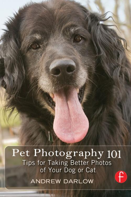 Cover of the book Pet Photography 101 by Andrew Darlow, Taylor and Francis