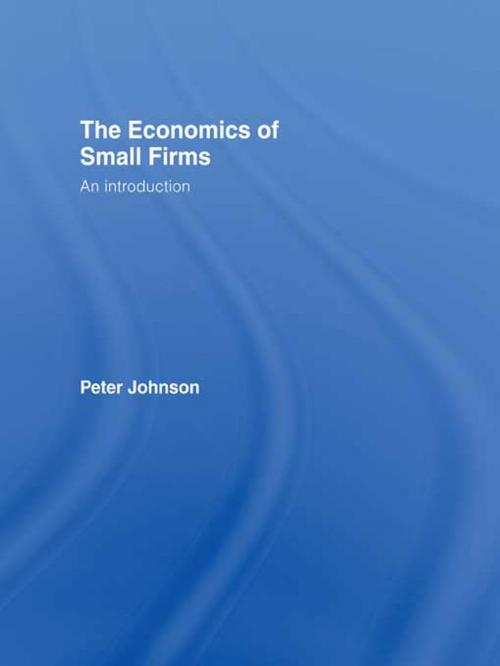 Cover of the book The Economics of Small Firms by Peter Johnson, Taylor and Francis