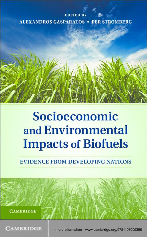 Cover of the book Socioeconomic and Environmental Impacts of Biofuels by , Cambridge University Press