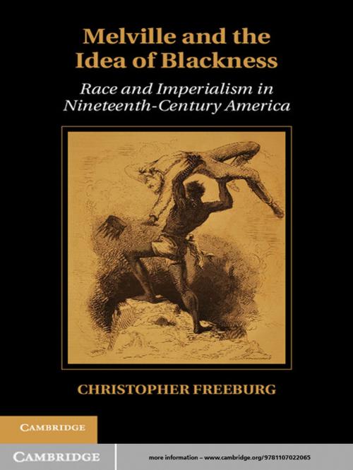 Cover of the book Melville and the Idea of Blackness by Professor Christopher Freeburg, Cambridge University Press