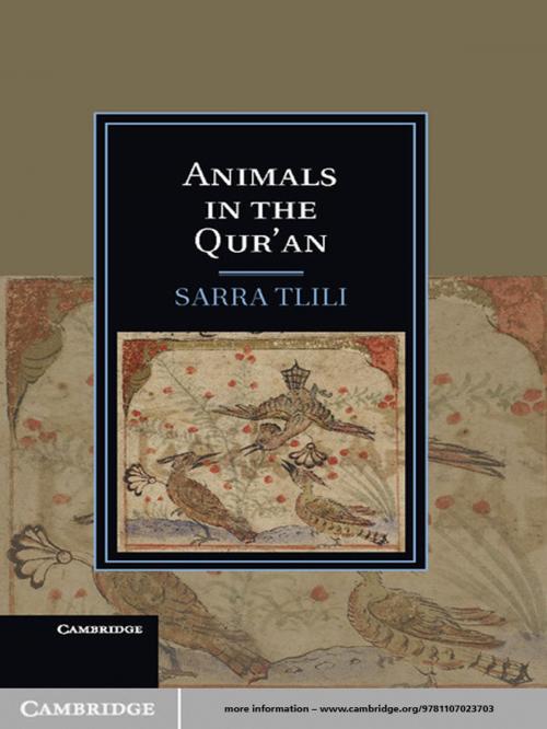 Cover of the book Animals in the Qur'an by Sarra Tlili, Cambridge University Press