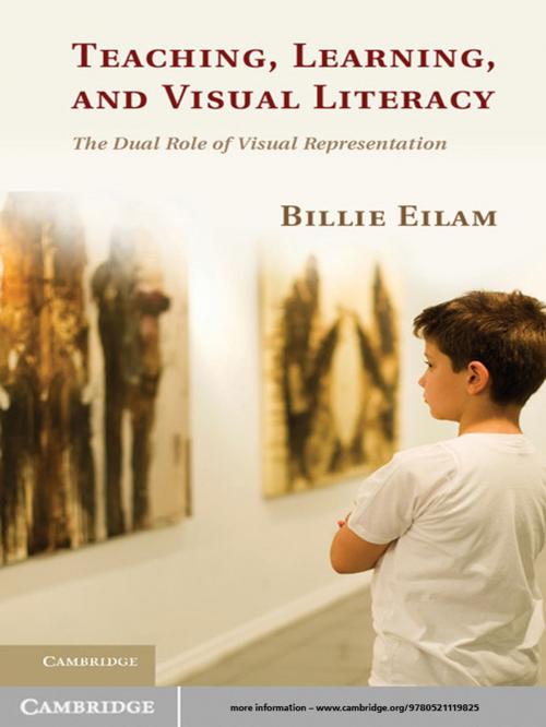 Cover of the book Teaching, Learning, and Visual Literacy by Billie Eilam, Cambridge University Press