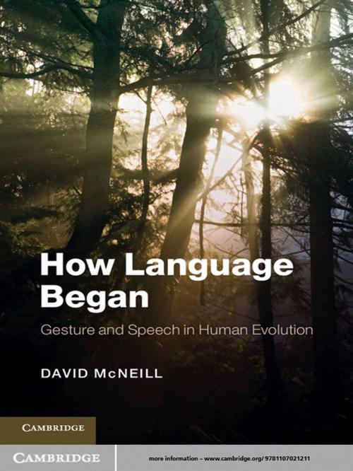 Cover of the book How Language Began by David McNeill, Cambridge University Press
