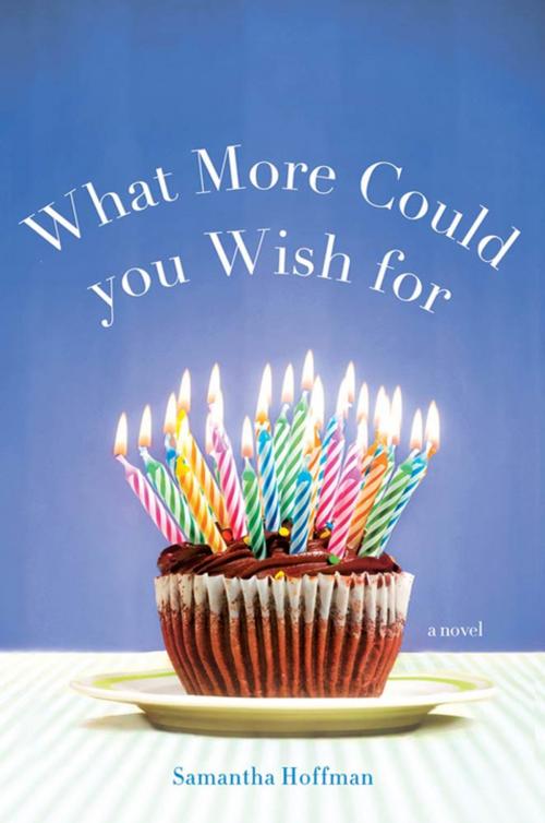 Cover of the book What More Could You Wish For by Samantha Hoffman, St. Martin's Press