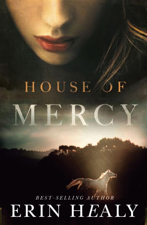 Cover of the book House of Mercy by Erin Healy, Thomas Nelson