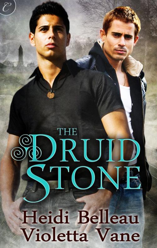 Cover of the book The Druid Stone by Heidi Belleau, Violetta Vane, Carina Press