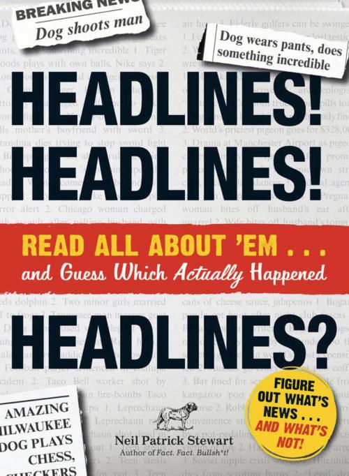 Cover of the book Headlines! Headlines! Headlines? by Neil Patrick Stewart, Adams Media