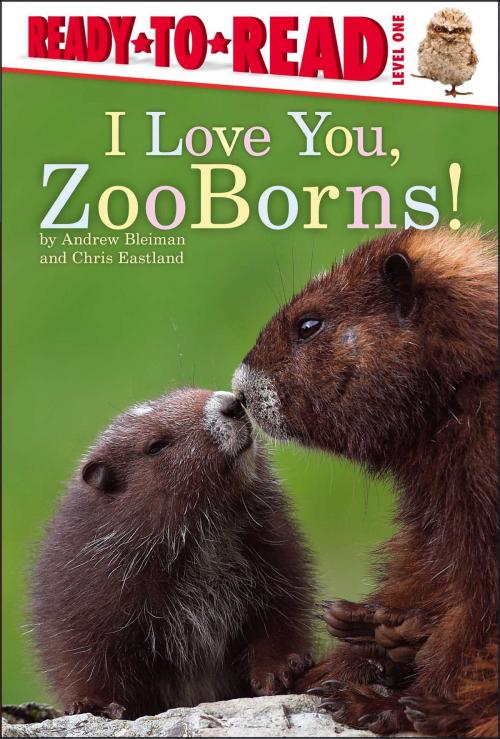 Cover of the book I Love You, ZooBorns! by Andrew Bleiman, Chris Eastland, Simon Spotlight