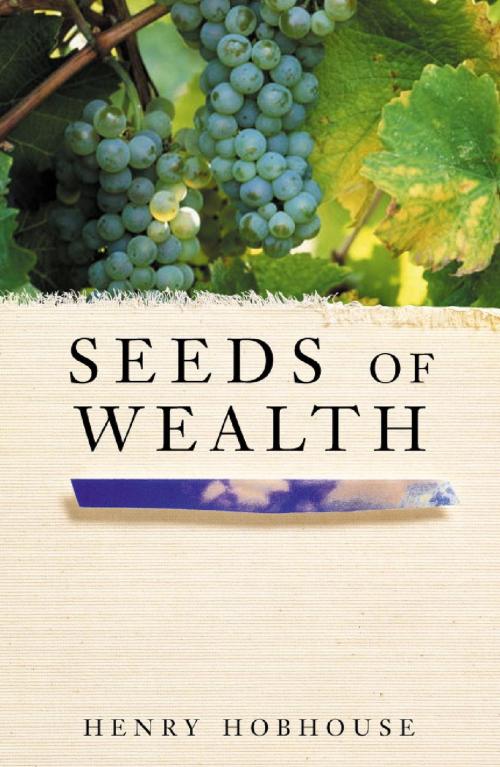 Cover of the book Seeds of Wealth by Henry Hobhouse, Pan Macmillan
