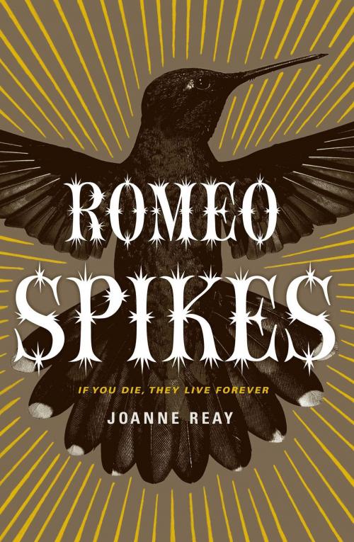 Cover of the book Romeo Spikes by Joanne Reay, Gallery Books