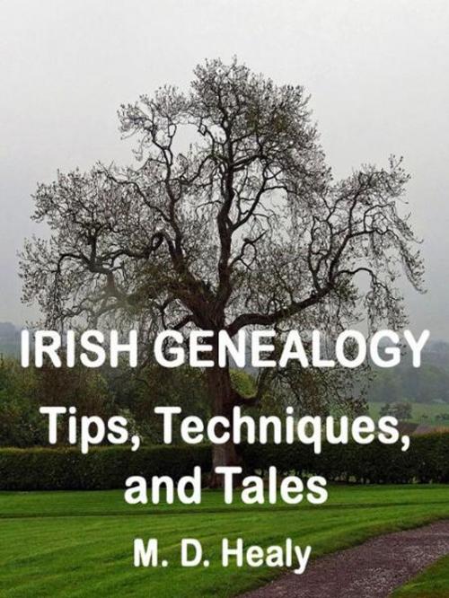 Cover of the book Irish Genealogy Tips, Techniques, and Tales by M. D. Healy, M. D. Healy