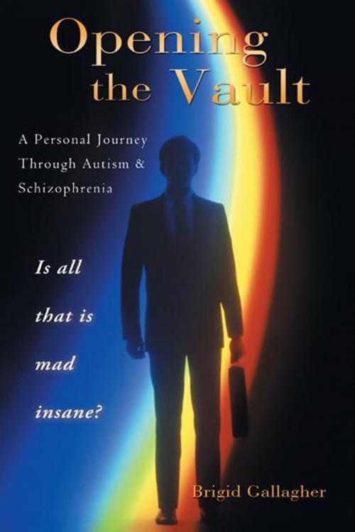 Cover of the book Opening the Vault by Brigid Gallagher, Balboa Press AU
