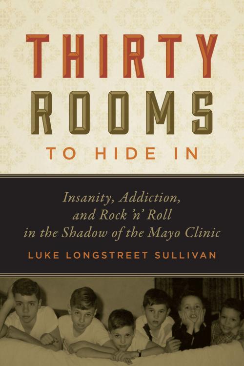 Cover of the book Thirty Rooms to Hide In by Luke Longstreet Sullivan, University of Minnesota Press