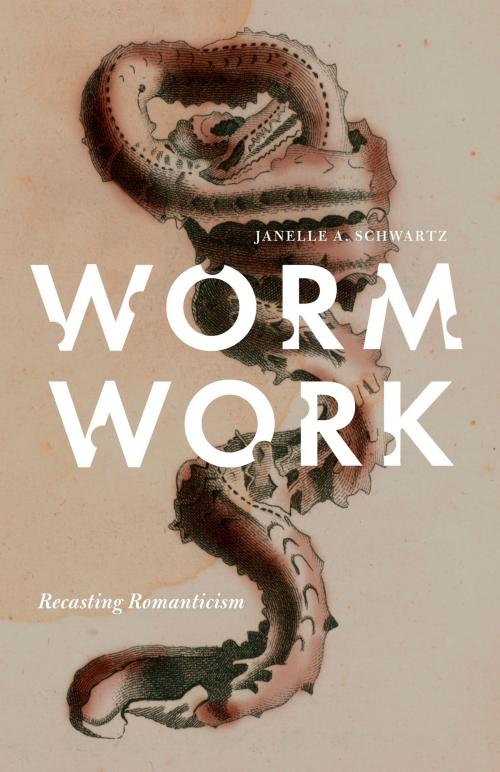 Cover of the book Worm Work by Janelle A. Schwartz, University of Minnesota Press
