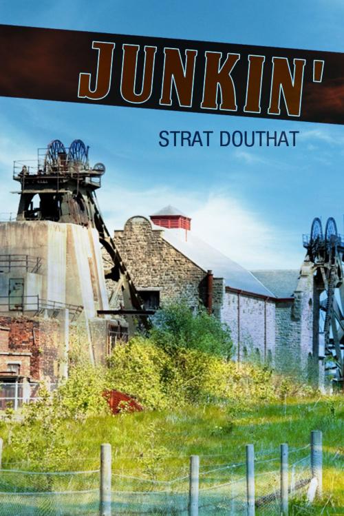 Cover of the book Junkin' by Strat Douthat, eBookIt.com