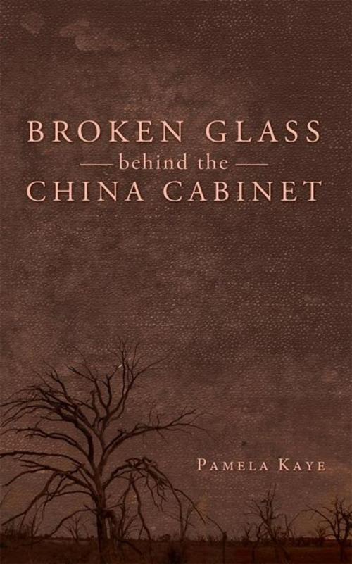 Cover of the book Broken Glass Behind the China Cabinet by Pamela Kaye, Abbott Press