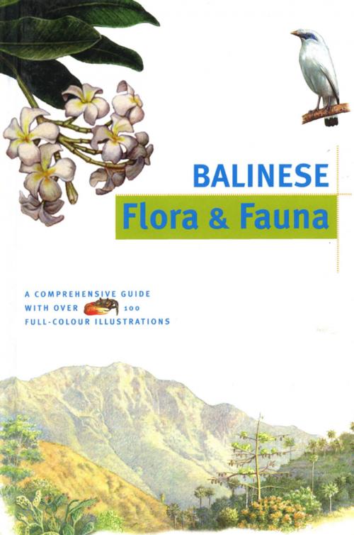 Cover of the book Balinese Flora & Fauna Discover Indonesia by Julian Davison, Bruce Granquist, Tuttle Publishing