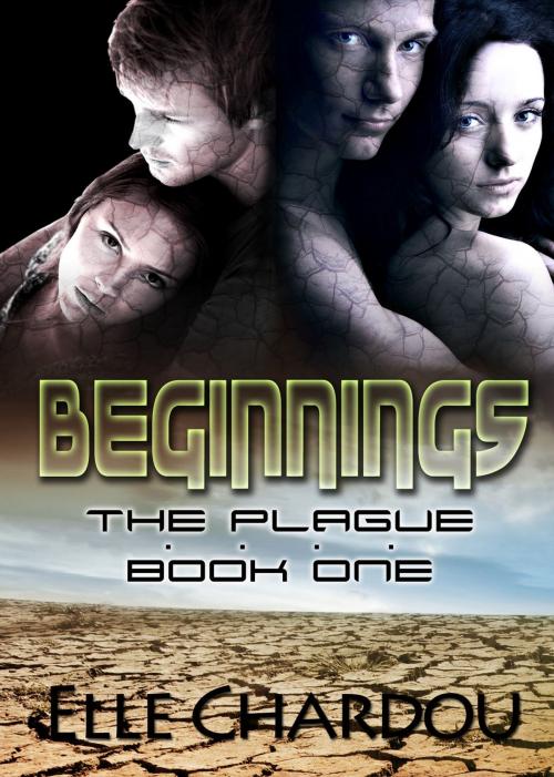 Cover of the book Beginnings by Elle Chardou, Midnight Engel Press