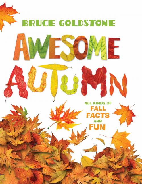 Cover of the book Awesome Autumn by Bruce Goldstone, Henry Holt and Co. (BYR)