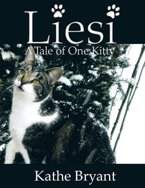Cover of the book Liesi by Kathe Bryant, Trafford Publishing