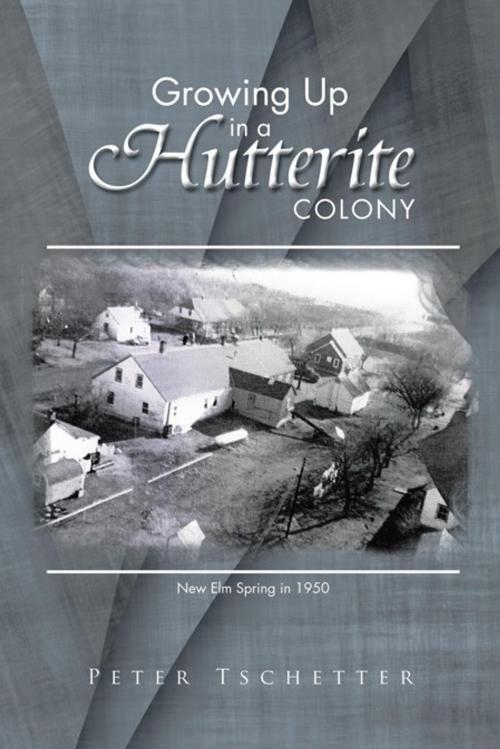 Cover of the book Growing up in a Hutterite Colony by Peter Tschetter, Trafford Publishing