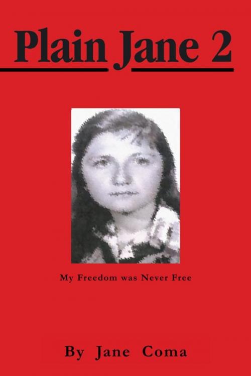 Cover of the book Plain Jane 2 by Jane Coma, Trafford Publishing